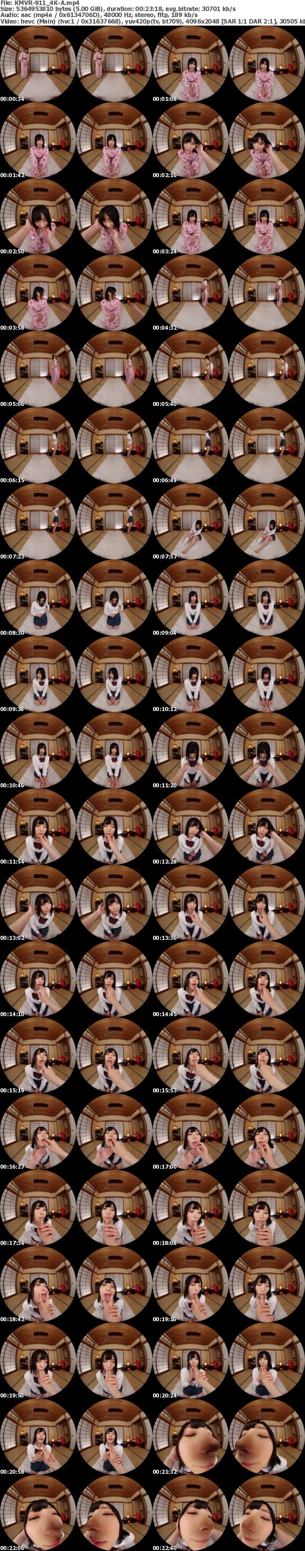 (VR) [4K] KMVR-911 それが間違いだと気づけない排卵日中出し￥交旅行 中城葵