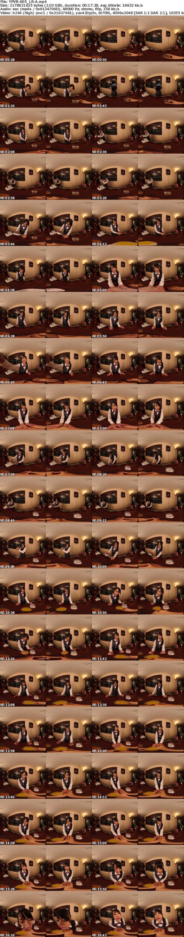 (VR) YPVR-005 バーカウンターで慰めて 小日向まい