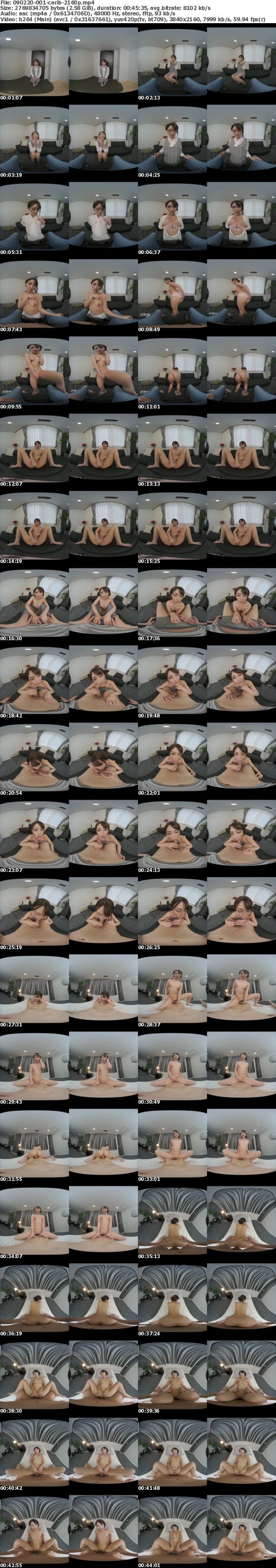 (VR) Caribbeancom 090220-001 隣に越してきた美人お姉さんが無防備すぎて僕はサルになった