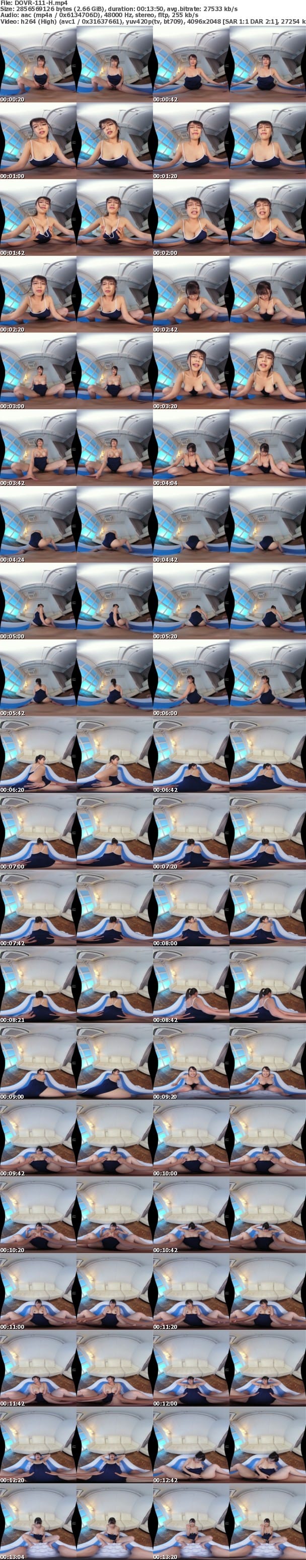 (VR) DOVR-111 【まとめ買い特典あり】ボイン好きにあう高精細VRーオナニーをしっかりサポートします！- 佐知子 完全版