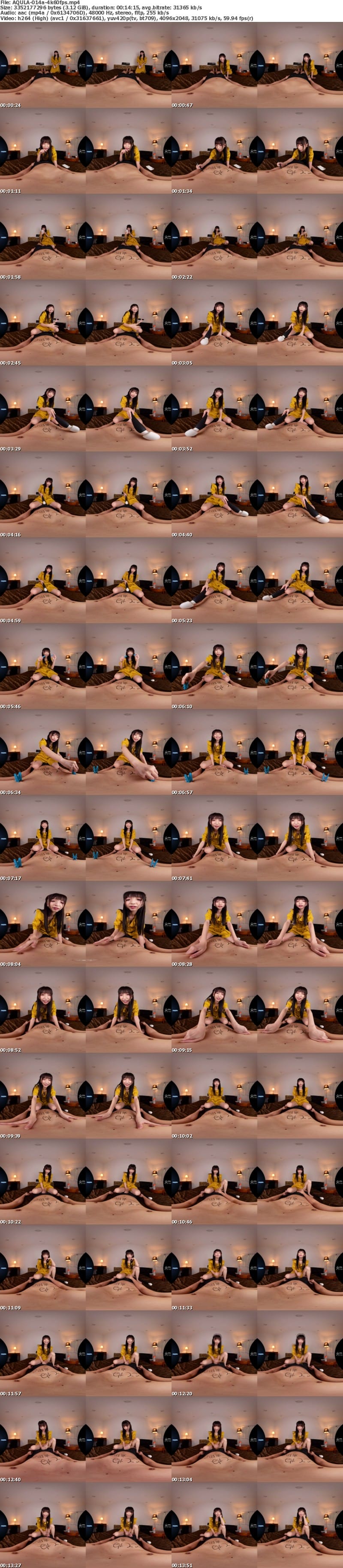 AQULA-014 【VR】女性用風俗でM男キャストのボクは血の通った温かい肉ディルド。ストレスの溜まったお客様に今日も抜かれまくります。 冬愛ことね